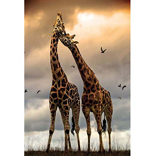 Showker DIY Broderie Diamant Kit Complet Afrique Girafe, 5D Diamond Painting Complet Prairies Animaux Rond Point De Croix Broderie Décoration Chambre Bureau Murale À La Maisonr 30x40cm