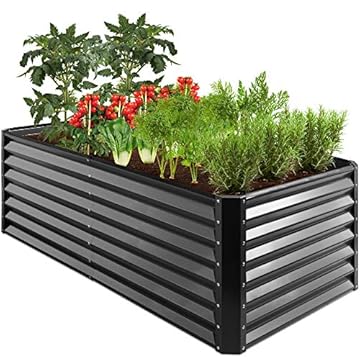 best plants for raised beds