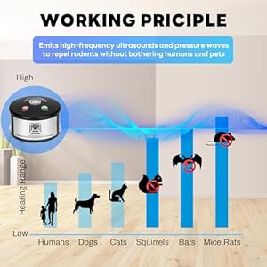 Ultrasonic Rodent Repellent, 360° Mouse Repellent Squirrel Repellent with Pressure Wave, Plug in Multiple Pest Deterrent Control for Indoor Use Only (Silver)