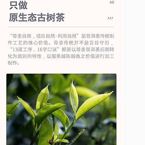 Thé Pu-Erh digestion difficile Zhenwei Hao 2016 solution naturelle après-repas 357g - 6