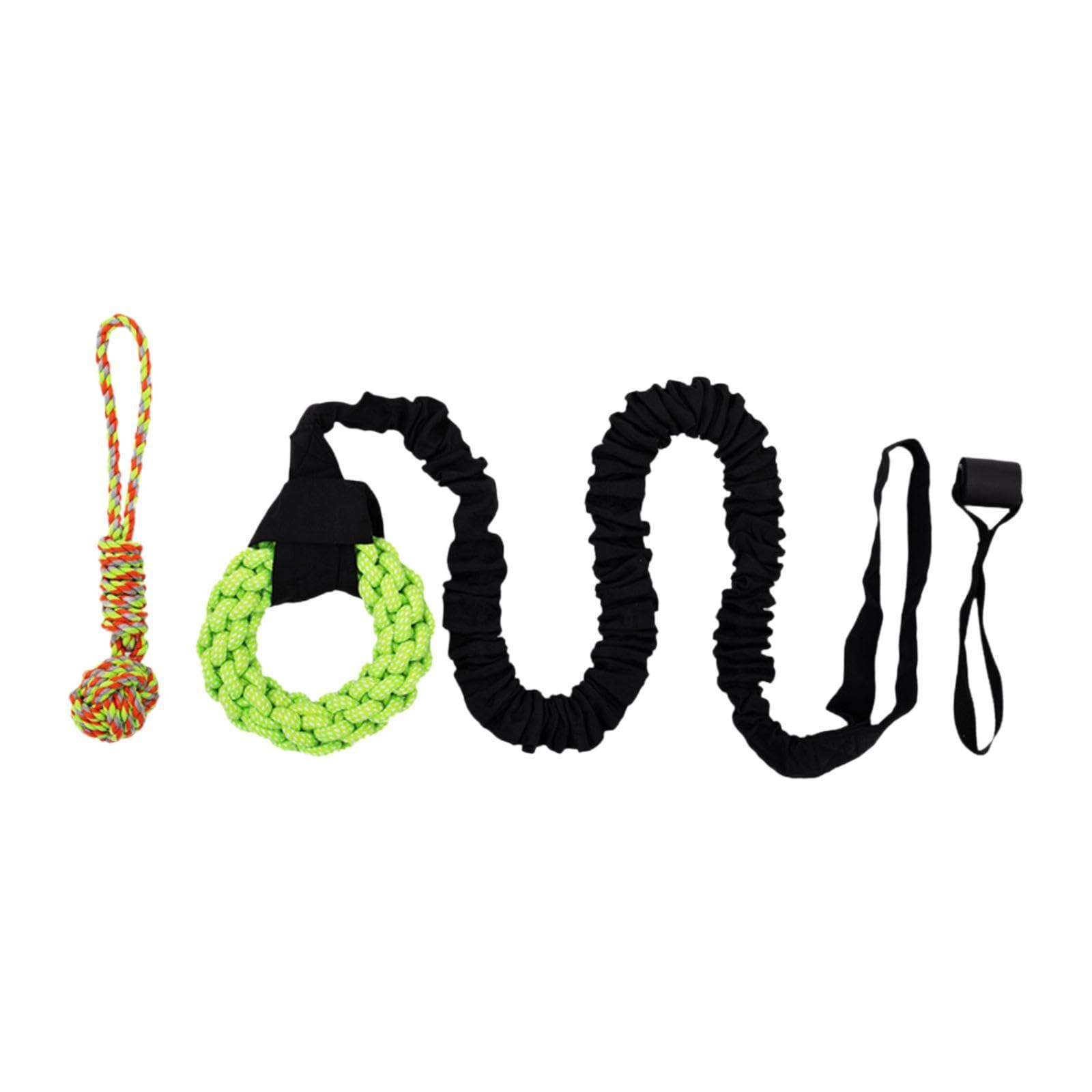 Jouet élastique pour Chien à Suspendre Aux Arbres, Corde de Jeu, Exercice pour Chiens de Toutes Tailles, Même Les Plus Turbulents, Jeu de à, Anneau Vert