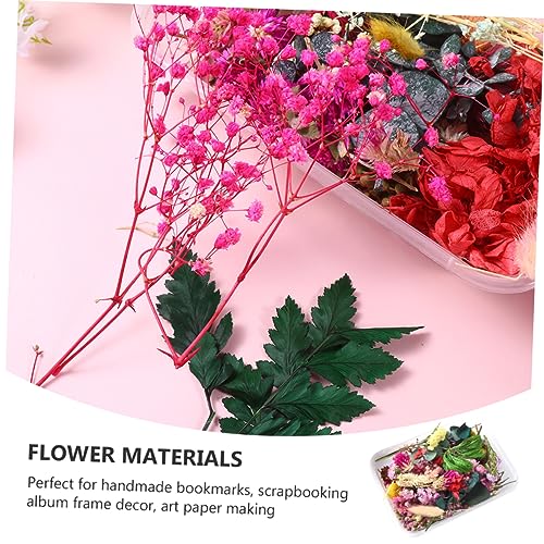 Flores secas Alipis para manualidades en paquete miniatura 7