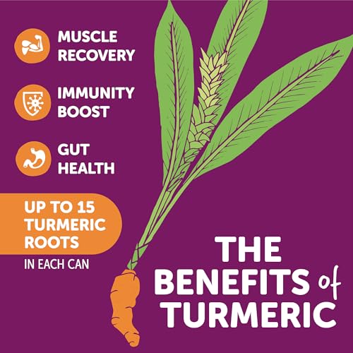 ZYN Turmeric Wellness Drink (24 Pack), Pomegranate Cranberry Flavored Turmeric Curcumin Drink with Black Pepper, No Added Sugar, Low Carb & Low... - Image 3