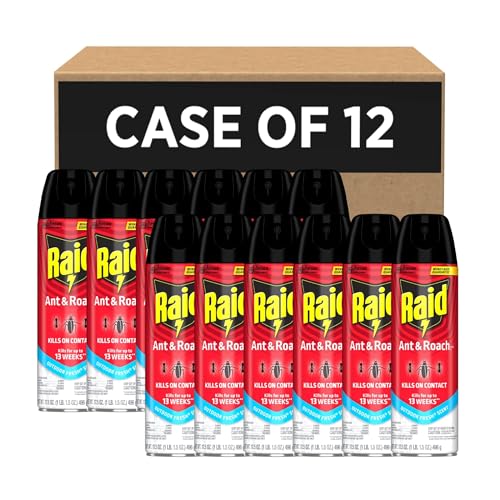 Raid Ant & Roach Killer Insecticide Spray-Outdoor Fresh - 17.5 oz, Clear