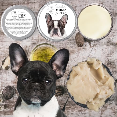 Image of The Blissful Dog Pied French Bulldog Nose Butter, Versatile Dog Nose Balm for Dry Nose, Handcrafted Nose Moisturizer, Easy-to-Apply Dog Essentials, Unscented, 1 oz.