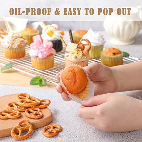 600 Pcs, Greaseproof Cupcake Liners, Standard Size Paper Baking Cups, Colorful Muffin Liner Cups For Baking, Food Grade & Non-Stick - Clear Straight Cylinder Package #TOP3