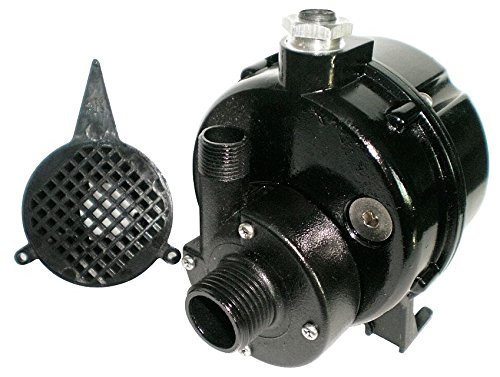 Dayton 12U595 Pump, Submersible, 1/100HP