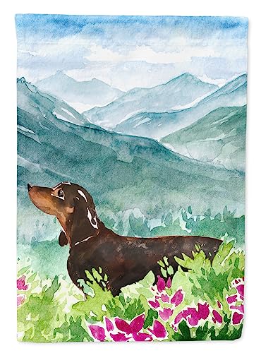 Dachshund Flag petit format multicolore pour décoration de jardin fleuri - 2