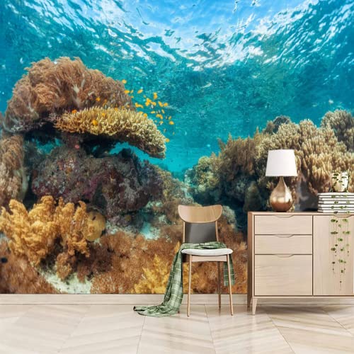 Attafe Vivid Coral Reef 3D Mural Wallpaper, Sunny Day Underwater World Photo Mural Wallpapers, Mural Hd Photo For Living Room Tv Sofa Bedroom 98" By 69" #TOP2