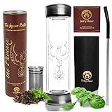 Spirit of Phoenix Tea Infuser Bottle - Durable 13.6oz Glass Tea Bottle,Leak-Proof & Double Walled Tea Thermos Set, Easy to Wash Portable Tea Tumbler & Tea Gift, Travel Tea Mug with Infuser and Lid