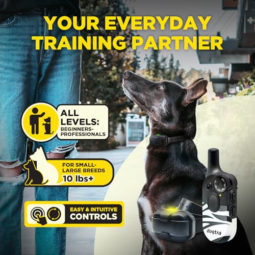 Image of Dogtra 200iQ Remote Training E Collar - 100 Levels, Tone, Vibration, 1 /2 Mile Range - Compact, Waterproof, One-Handed Control for Dogs 10 lbs+ - Lightweight Design for Daily Training - Zebra