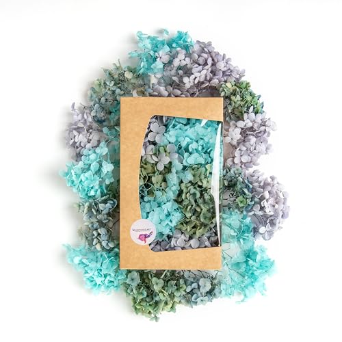 Getrocknete Hortensie Echt - Trockenblumen zum Basteln - Für natürliche Deko - Perfekt für schöne Herbst Dekoration (Blau Türkis)