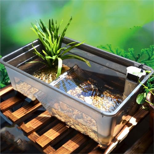 Terrarium tortue grand format contre le manque d'espace d'élevage - 6