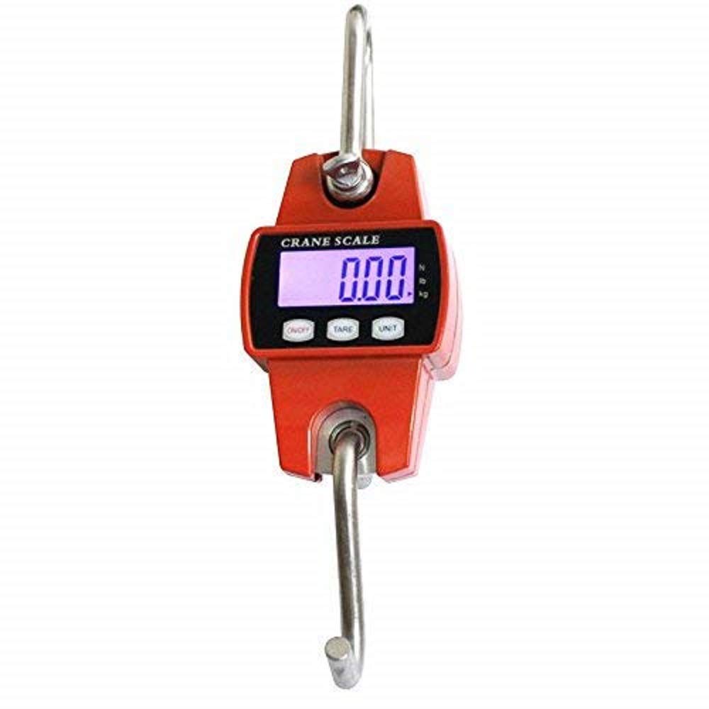 Dynamomètre professionnel numérique 300KG/100g avec affichage LCD