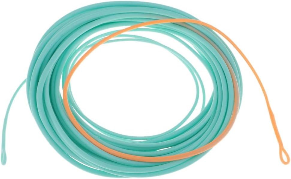 Skagit Head Floating Fly Fishing Line for Long Casting & Fast Action - Powerful Front End, Low Stretch Core, Blue/Orange Color - for Fast Flowing Water, Perfect for Experienced - 23FT 500gr