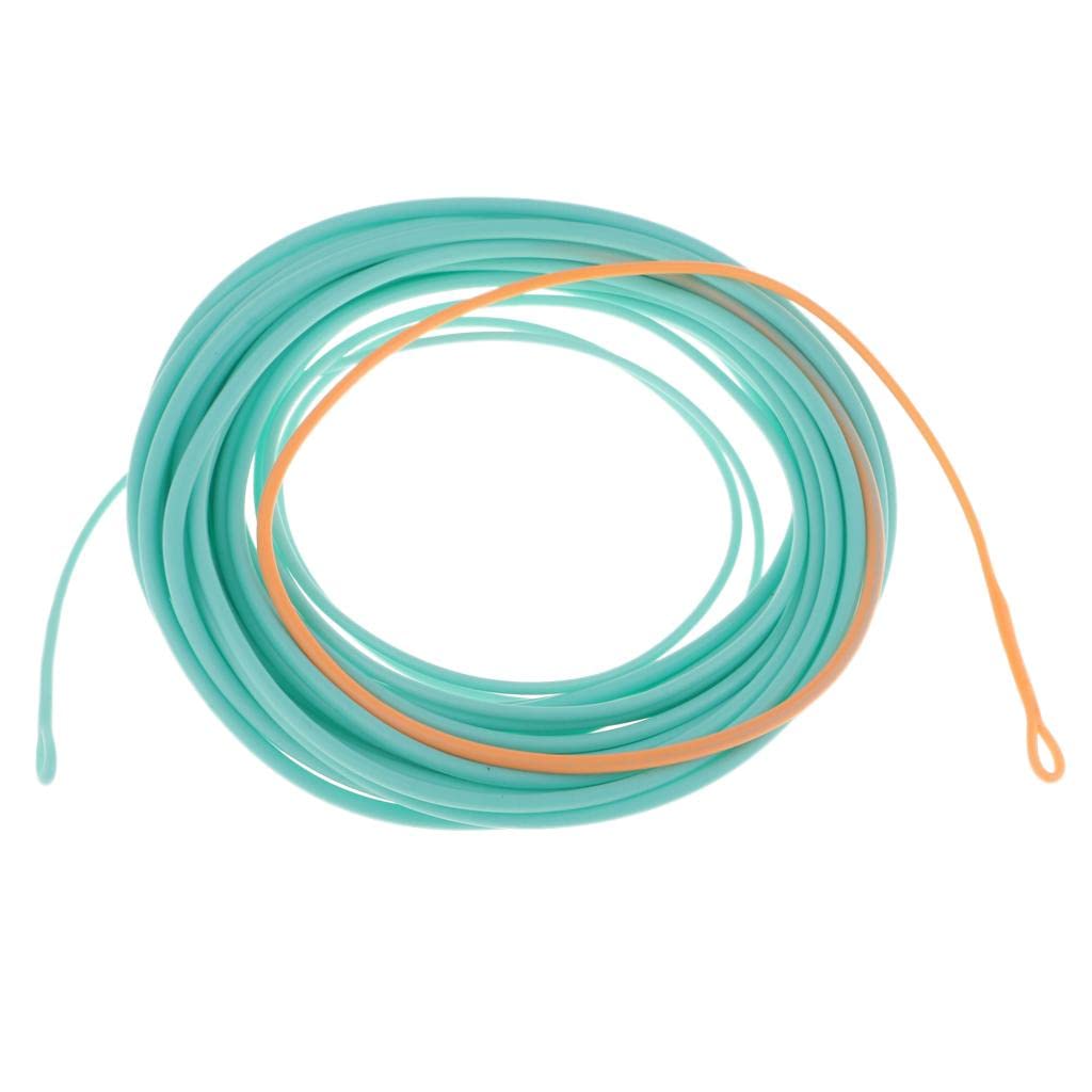 Skagit Head Floating Fly Fishing Line for Long Casting & Fast Action - Powerful Front End, Low Stretch Core, Blue/Orange Color - for Fast Flowing Water, Perfect for Experienced - 23FT 500gr