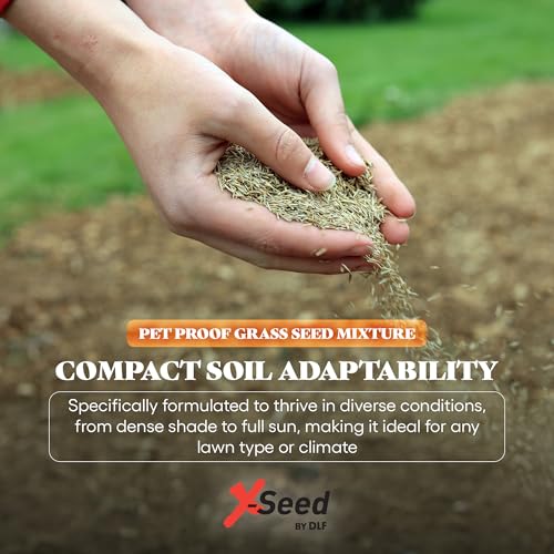 Grass Seed Blends For Cool-Season Climates