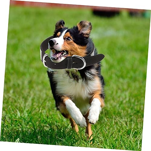 Angoily Hundehalsband Mit Borte Hundefliege Für Hunde Und Katzen Strapazierfähiges Material Süßer Und Modischer Look Praktisches Accessoire Für Tiere