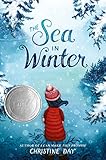 The Sea in Winter