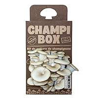 Kit de Culture de Champignons Pleurotes Gris Champibox™ (Pleurotus ostreatus) - Pleurotes Made in France - Gourmand et Éducatif - Idée Cadeau Originale et Naturelle pour Tous - Facile à Utiliser