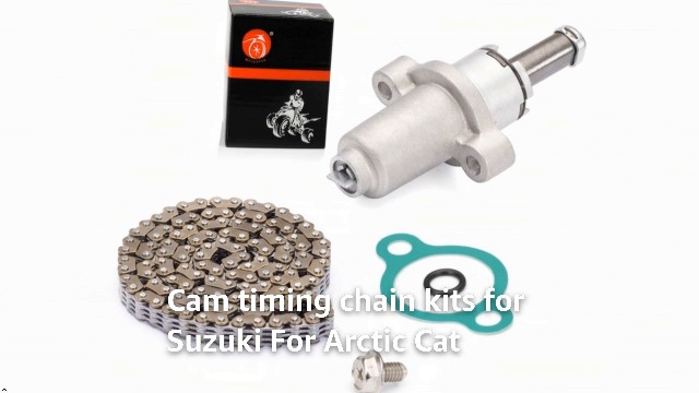 Amazon.com: Cam Timing Chain and Tensioner for Suzuki DR650SE