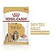 Royal Canin Shih Tzu Adult Moos | 12 x 85g | Nassfutter | Fell- und Verdauungsunterstützung | Für Hunde ab 10 Monaten
