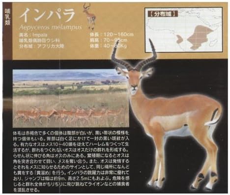 Amazon 奇譚クラブ Kitan Club ネイチャーテクニカラー サバンナ インパラ ガチャポン フィギュア ロボット 子ども向けフィギュア おもちゃ