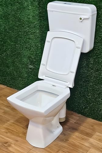 Image of Clay Plus Premium Grade Ceramic EWC Western Toilet Floor Mount Commode for Bathroom /Office /Hospital /School With Slow Close Slim Seat Cover (SQUARE COMMODE & SILVERSIDE FLUSH TANK)