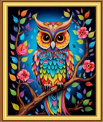 Image of Foxnyart Stamped Cross Stitch Kits Full Range of Embroidery Needlework Starter Kits for Beginners Adults 11CT Embroidery Patterns Art Crafts DIY Needlepoint Kit-Colorful Owl 16x20 inch