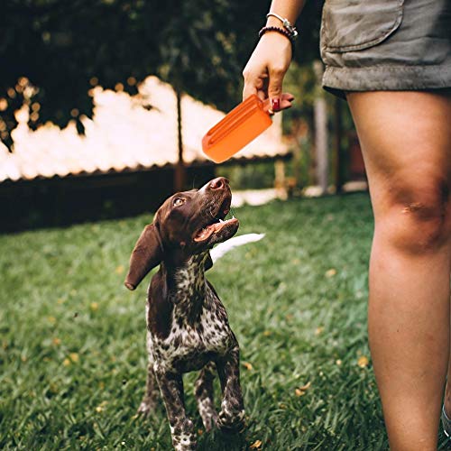 POPETPOP 2Pcs Resfriamento Mordedor Mastigar Brinquedos para Cães de Estimação Ice Cream Forma Cacho