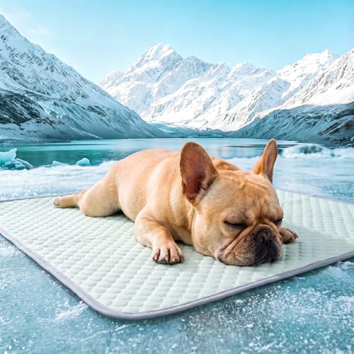 Image of PatiencET Dog Cooling Mat, 22 x 28 in No-Gel Cooling Pad for Small Dogs, Puppies and Cats, Cool Touch Pet Mat with Ice-Dot Texture, Washable Summer Crate Pad for Floor, Sofa, Car, Light Green
