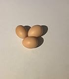 Chicken Hatching Eggs Raised on Organic (12 Eggs)