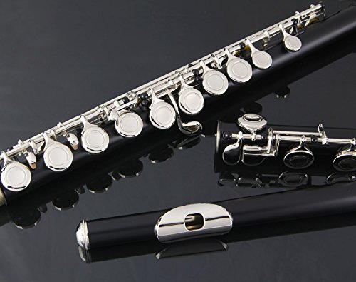 Glory Closed Hole C Flute With Case, Tuning Rod and Cloth,Joint Grease and Gloves-black color