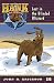 Lost in the Blinded Blizzard (Hank the Cowdog (Quality))
