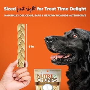 NutriChomps Dog Chews, 6-inch Braids, Easy to Digest, Long Lasting, Rawhide-Free Dog Treats, Healthy, 4 Count, Real Milk flavor NutriChomps Dog Chews 6 inch Braids Easy to Digest Long Lasting Rawhide Free Dog Treats Healthy 4 Count Real Milk flavor