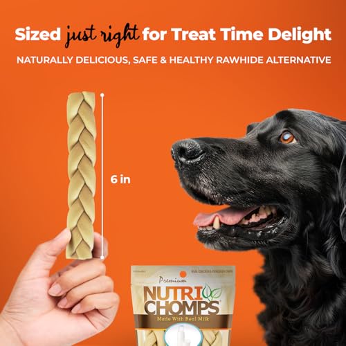 NutriChomps-Dog-Chews-6-inch-Braids-Easy-to-Digest-Long-Lasting-Rawhide-Free-Dog-Treats-Healthy-4-Count-Real-Milk-flavor NutriChomps Dog Chews 6 inch Braids Easy to Digest Long Lasting Rawhide Free Dog Treats Healthy 4 Count Real Milk flavor