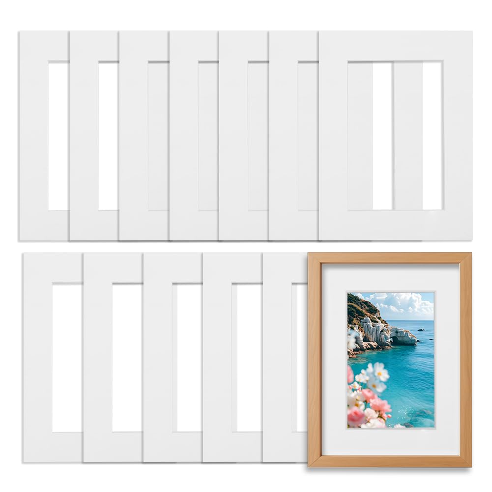 FARYODI 12 Pezzi Passepartout Dimensioni Esterne 21 * 29,6 cm, Passepartout 1mm di Spessore, per Foto in Formato 13 * 18 cm, Presentazione & Protezione, per Foto, Immagini, Stampe d’Arte, Cartoline