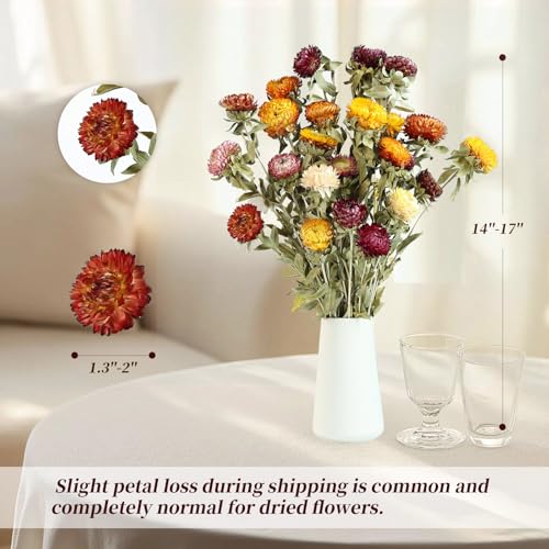 Ramo de Flores Secas Margarita Natural 20 Piezas miniatura 5