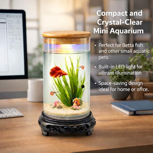 Image of rizopets Desktop mini Fish Tank Aquarium, White, Acrylic, 1.5 Liters, 21x11x11 cm, Rectangular with LED Lighting, Modern Style