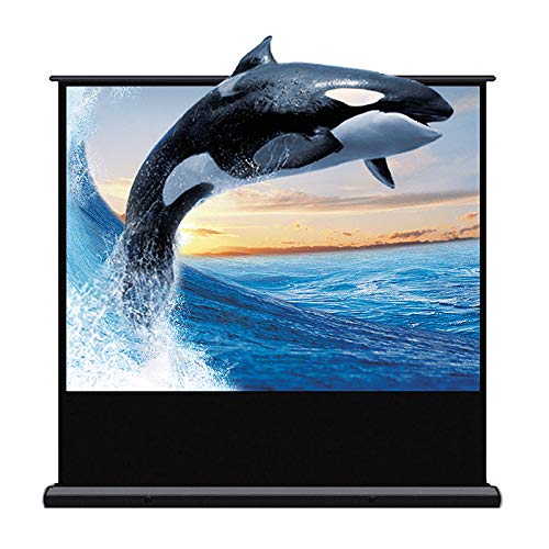 Pantalla para proyector portátil - pantalla móvil con soporte, se sostiene por sí sola, para escuelas y conferencias, uso interior y exterior - 80 pulgadas 16:9