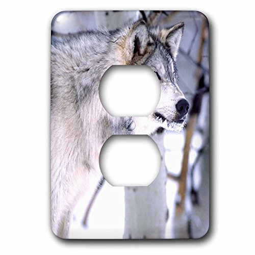 Plaque 2 prises Timber Wolf 3dRose cache-prise loup Canis Lupus pour votre mur