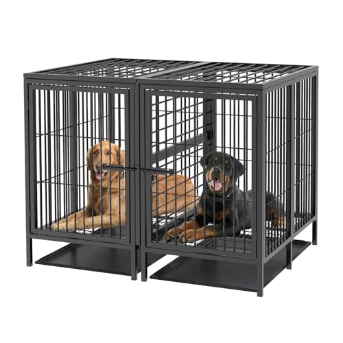 BingoPaw Hundekäfig XXXL Schwerlast Hundebox: 2 in 1 Doppelbox Hundegitterbox mit Trennwand, 2 Türen und Tablett, Haustierkäfig Outdoor Indoor für große mittelgrosse Hunde 130x100x100 cm