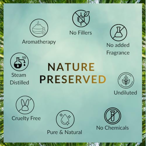 Image of Bay Laurel Leaf Essential Oil (Laurus nobilis) 100% Natural Pure Steam Distilled For Face, Skin, Hair, Body, DIY Candle Making | with Glass Dropper 0.50 Fl Oz (15ml)