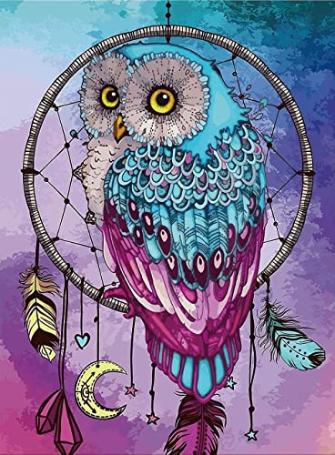 Kit de peinture diamant 5D pour adulte - Motif chouette - 30 x 40 cm Cover