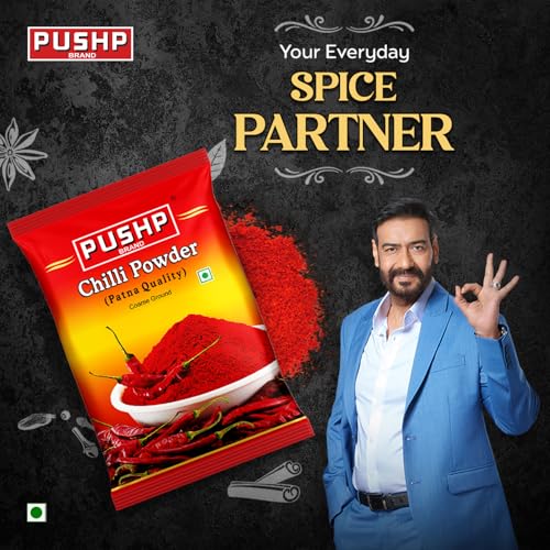 Image of Pushp Brand Chilli Powder 100g (Pack of 10) - Neutral Spicy Red Chilli Powder