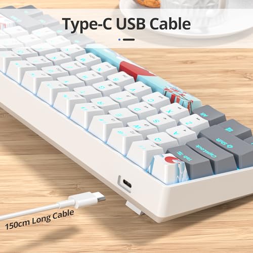 Image of 60 Percent Gaming Keyboard 61 Keys Wired Mechanical Keyboard Ultra Compact Key Board Red Switch LED Backlit for Windows Laptop Gamer(61Huibai)