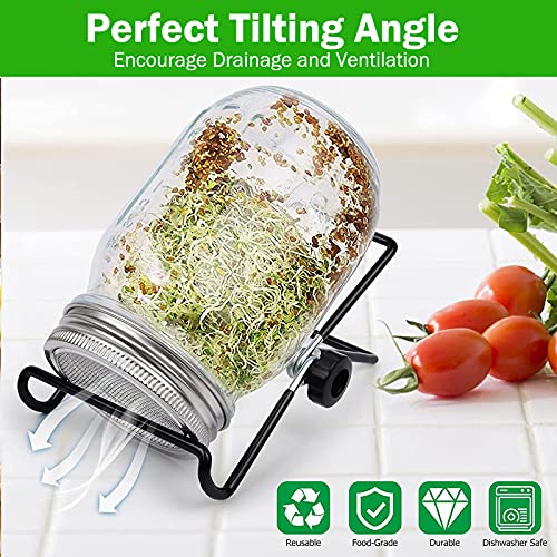 MORDEN MS Microgreens de frasco de vidro de boca larga, aço inoxidável, transparente, pacote com 2,