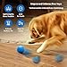 Shepatio Hundespielzeug - Interaktiver Hundeball, Self Moving Dog Ball für Hunde, Intelligentes Hundespielzeug mit 3 Spielmodi, Geburtstagsgeschenk, USB Wiederaufladbar (Blau)