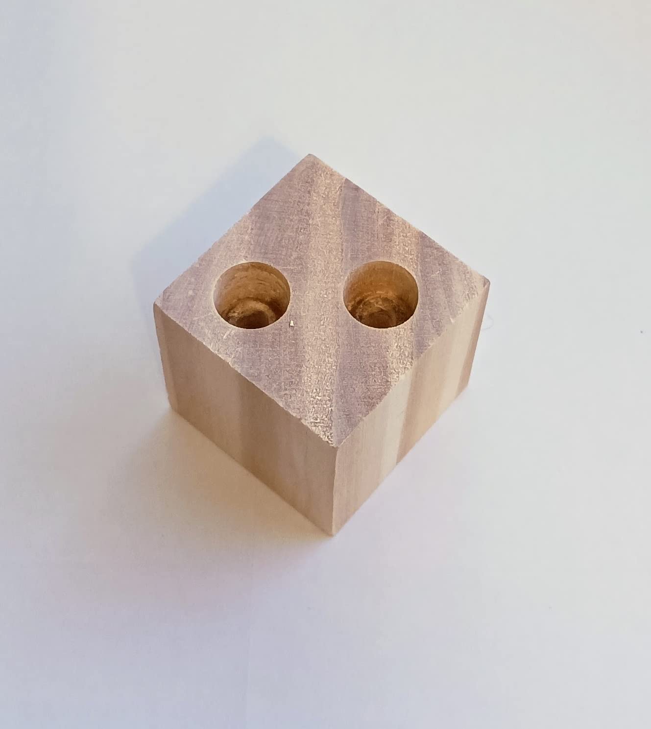 Scatola di sale con verme e cavalletta