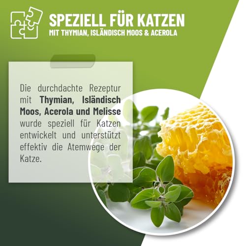 ReaVET Hustensaft Tropfen für Katzen 50ml I Bronchial Liquid I Sekundierend bei Husten & Atemwegsreizungen